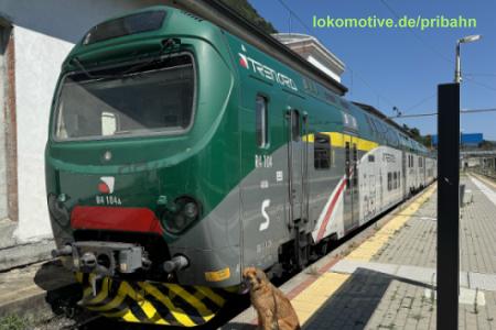 TN R4-104 / 711 207-1, 710 251-0, 710 252-8, 711 208-9